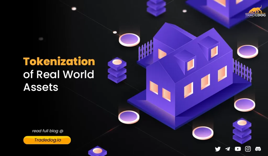 Real-World Asset (RWA) Tokenization: Bridging the Gap Between Crypto and Physical Markets