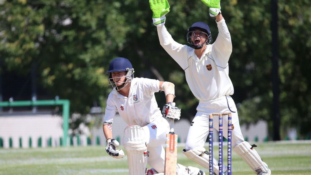 The T20 Takeover: Is the Franchise Model Killing the Traditional Test Match?